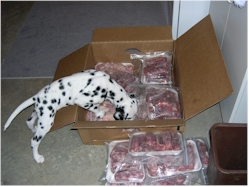 meat_inspector